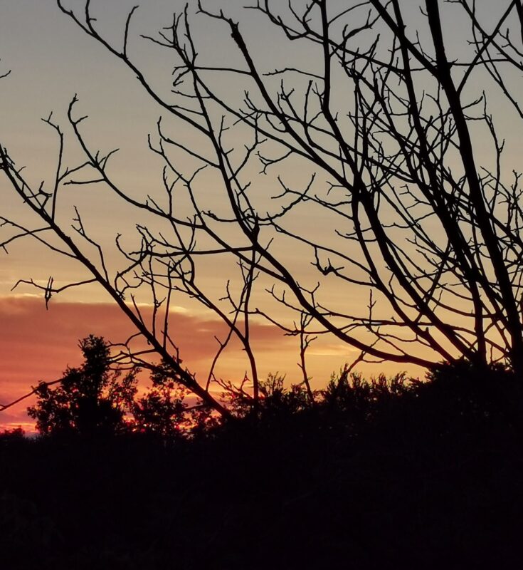 Natječaj za posao: Radnik/ca na poslovima ukopa i održavanja groblja